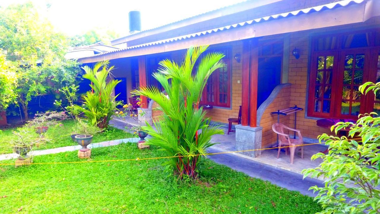 Dandelion - Unawatuna Extérieur photo